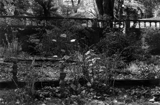 Sunken garden