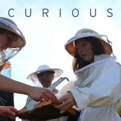 671119b6471c05.75223829.pdf page 9