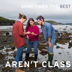 671119b6471c05.75223829.pdf page 12