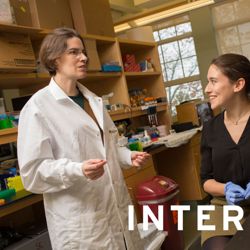 671119b6471c05.75223829.pdf page 16