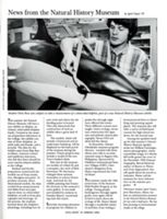 67111a08195694.73026492.pdf page 13
