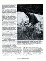 67111a114cc124.42004914.pdf page 11