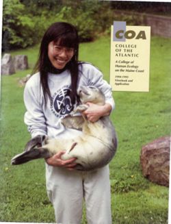 67111dc0a17fc3.23513009.pdf page 1