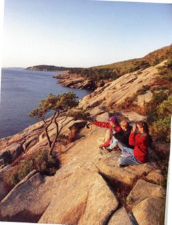 67111dc0a17fc3.23513009.pdf page 4