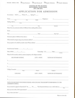 67111dc0a17fc3.23513009.pdf page 21