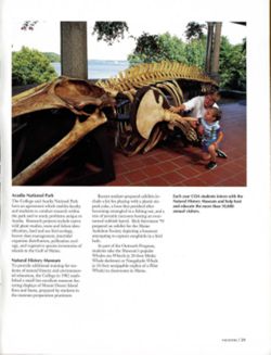 67111dc0a17fc3.23513009.pdf page 40