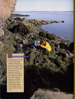 67111dc0a17fc3.23513009.pdf page 41