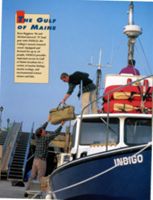 67111dc0ad5d21.77343942.pdf page 4