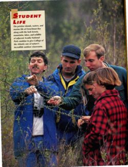 67111dc0ad5d21.77343942.pdf page 36