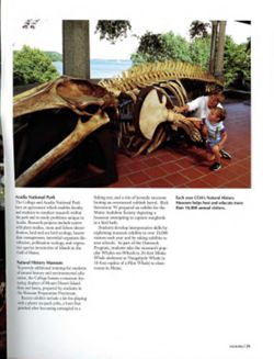 67111dc0ad5d21.77343942.pdf page 43