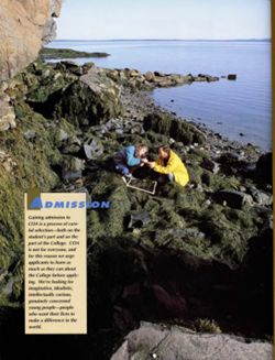 67111dc0ad5d21.77343942.pdf page 44