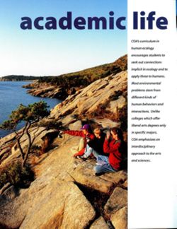 67111dc3f20711.11327193.pdf page 12