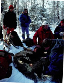 67111dc3f20711.11327193.pdf page 16