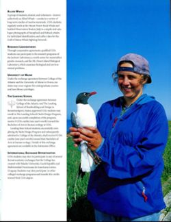 67111dc3f20711.11327193.pdf page 33