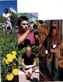 67111dc6e63394.21834224.pdf page 10