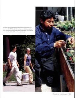 67111dc6e63394.21834224.pdf page 15