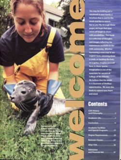 67111dc73eb061.63982621.pdf page 3