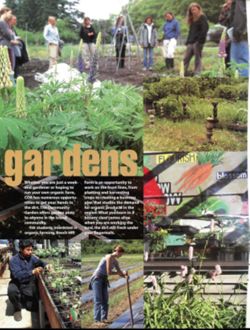 67111dc73eb061.63982621.pdf page 14