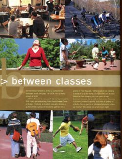 67111dc9a53b45.00653339.pdf page 28