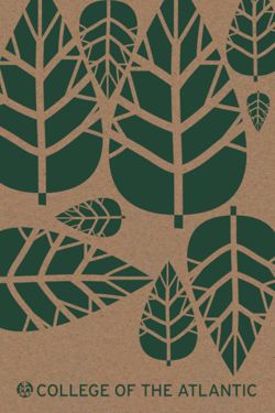 67111dcc9d2665.93283634.pdf page 1