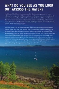 67111dcc9d2665.93283634.pdf page 5