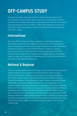 67111dcc9d2665.93283634.pdf page 20