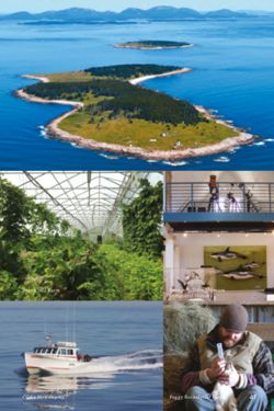 67111dcc9d2665.93283634.pdf page 49