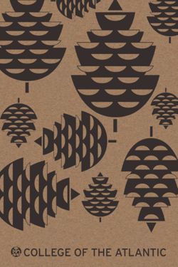 67111dcea672f1.96515315.pdf page 1