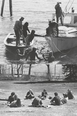 67111dcea672f1.96515315.pdf page 9