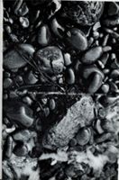 67111dd3a5b897.61707076.pdf page 3