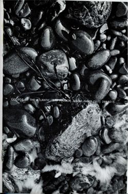 67111dd3a5b897.61707076.pdf page 3