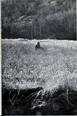 67111dd3a5b897.61707076.pdf page 13