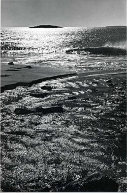 67111dd3a5b897.61707076.pdf page 36