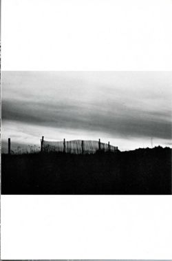 67111dd3a5b897.61707076.pdf page 40