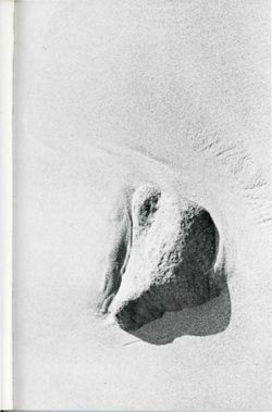 67111dd3a5b897.61707076.pdf page 45