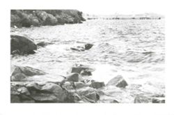 67111dd3aae371.16737645.pdf page 2