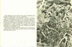 67111dd3aae371.16737645.pdf page 3