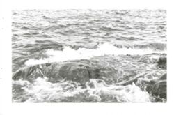 67111dd3aae371.16737645.pdf page 31