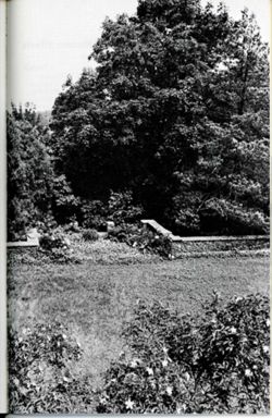 67111dd5a31288.11552139.pdf page 42