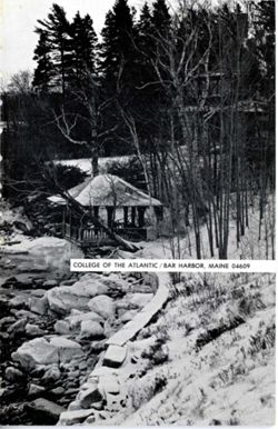 67111dd6a47de0.67135077.pdf page 3