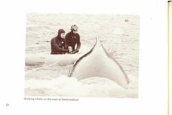 67111dd7a05787.71308604.pdf page 55