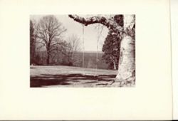 67111dd89f5b59.66254088.pdf page 2