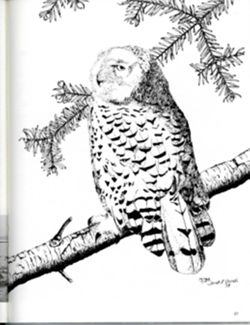 67111ddb9dac20.56518911.pdf page 29