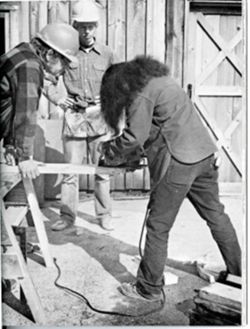 67111ddb9dac20.56518911.pdf page 33