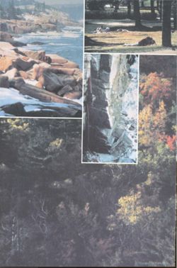 67111ddfa0c2c2.86326896.pdf page 4