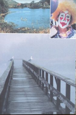 67111ddfa0c2c2.86326896.pdf page 6