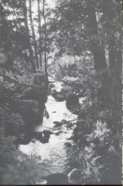 67111ddfa0c2c2.86326896.pdf page 10