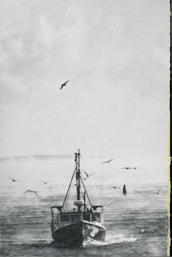 67111ddfa0c2c2.86326896.pdf page 74