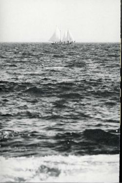 67111ddfa0c2c2.86326896.pdf page 92