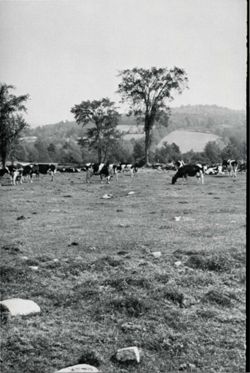 67111ddfa0c2c2.86326896.pdf page 96